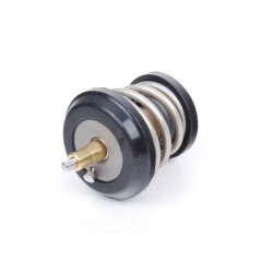 Termostato Audi A3 A4 A5 Q3...