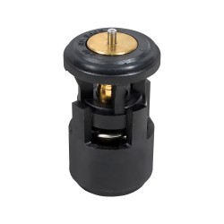 Termostato Volkswagen Bora...