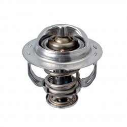 Termostato Bomba Agua 95c...